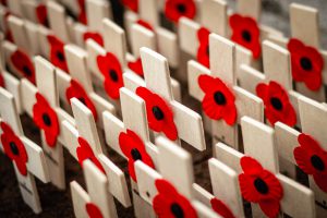 A group of poppies and cross memorials