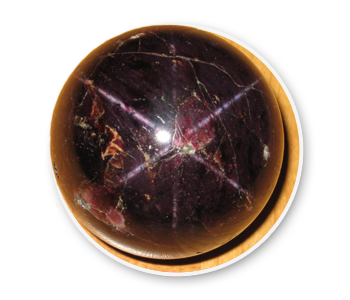 A close up of an Idaho Star Garnet with a four-ray star. The official state gem of Idaho.